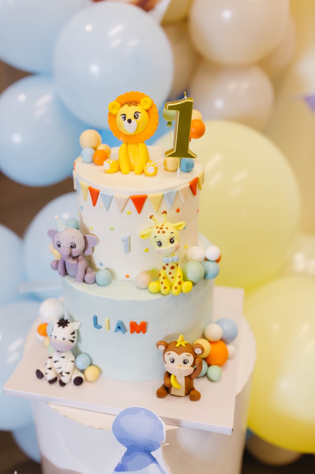 Two tiers for a first birthday: One big adventure